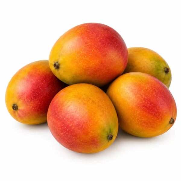 Kent Mango (Peru) 🇵🇪 - Premium Peru Imported Kent Mango | Fresh Mangoes Dubai