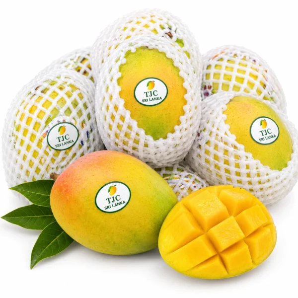 TJC Mango (Sri Lanka) 🇱🇰 - Premium Sri Lanka Imported TJC Mango | Fresh Mangoes Dubai