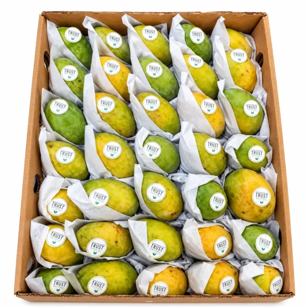 Mango Baby (1.8-2 Kg Box) 🇪🇬 - Premium Egyptian Imported Mango Baby | Sweet, Juicy & Naturally Fresh Dubai