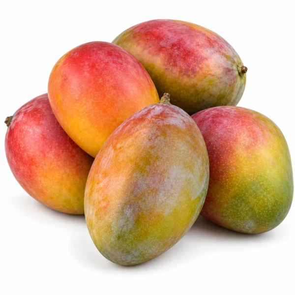Osteen Mango (Spain) 🇪🇸 - Premium Spain Imported Osteen Mango | Fresh Mangoes Dubai